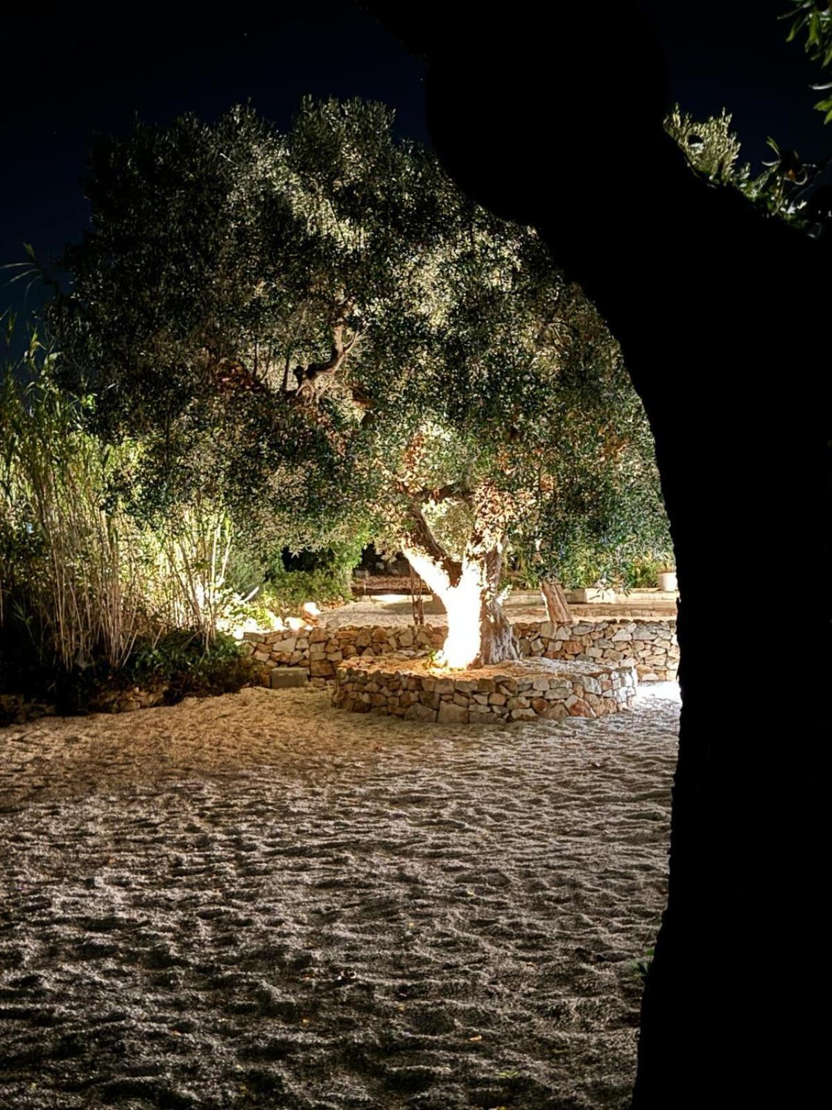 Trulli In Contrada - Monopoli Guest House Luaran gambar